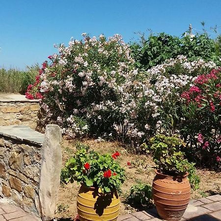 Agia Anna  Villa Danai מראה חיצוני תמונה