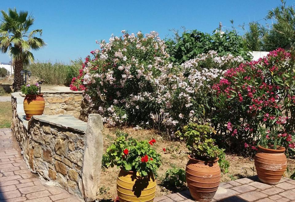 Agia Anna  Villa Danai מראה חיצוני תמונה